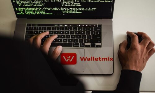 Walletmix is the Best web development company in Bangladesh